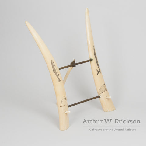 Scrimshawed Walrus Ivory Tusk Easel