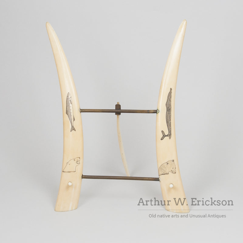 Scrimshawed Walrus Ivory Tusk Easel