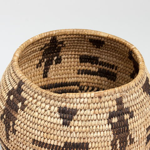 Interesting Papago basket with Lizards