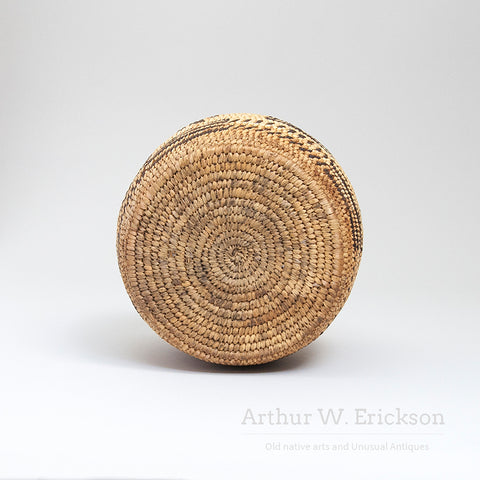 Interesting Papago basket with Lizards
