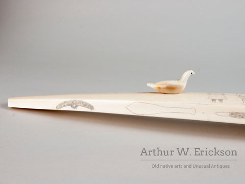 Large 1950's Inuit Walrus Ivory Cribbage board