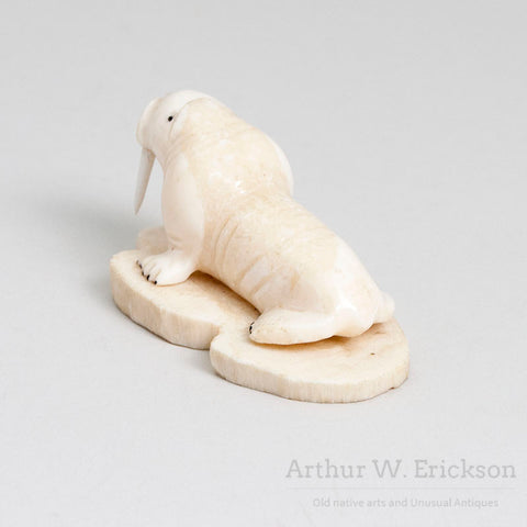 Inuit Carved Ivory Walrus with Large Tusks on a Mount