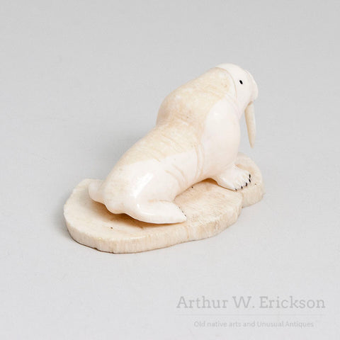 Inuit Carved Ivory Walrus with Large Tusks on a Mount