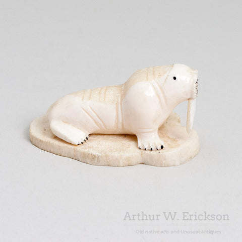 Inuit Carved Ivory Walrus with Large Tusks on a Mount