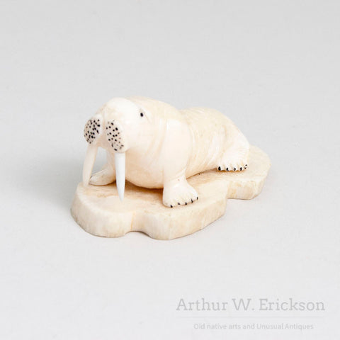 Inuit Carved Ivory Walrus with Large Tusks on a Mount