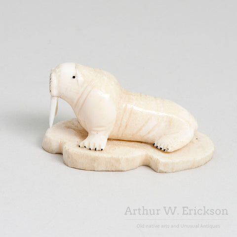 Inuit Carved Ivory Walrus with Large Tusks on a Mount