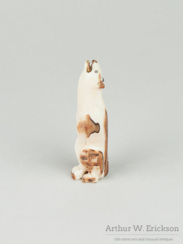 Howling Fox, Wolf,  or Dog Walrus Ivory Carving