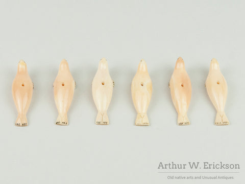 Six Inuit Ivory Seal Buttons