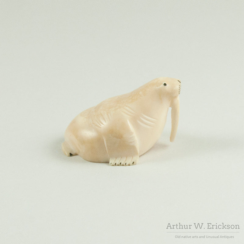 Plump Eskimo Carved Ivory Walrus