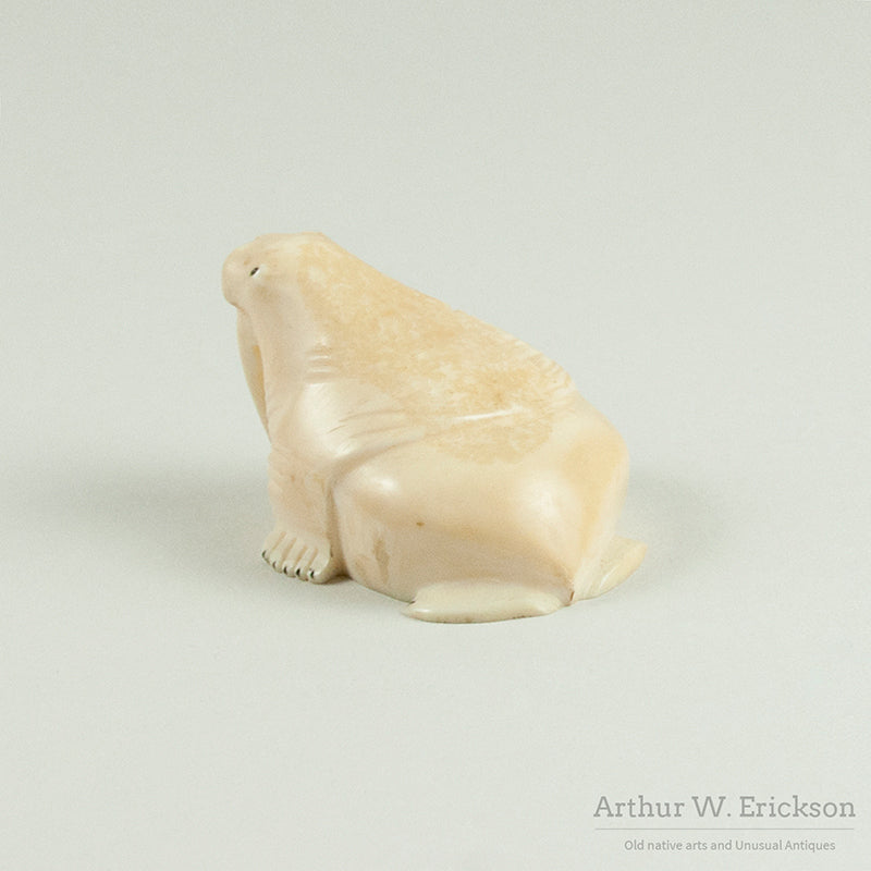 Plump Eskimo Carved Ivory Walrus