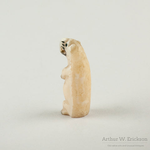 Tiny Fierce Polar Bear on Hind Legs