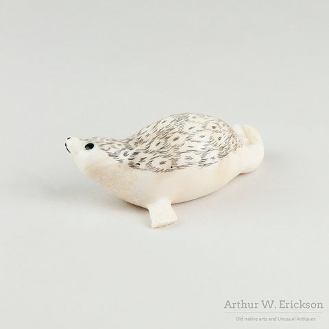 Carved  Ivory Alaskan Spotted Seal