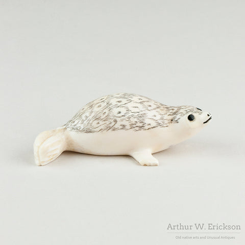 Carved  Ivory Alaskan Spotted Seal