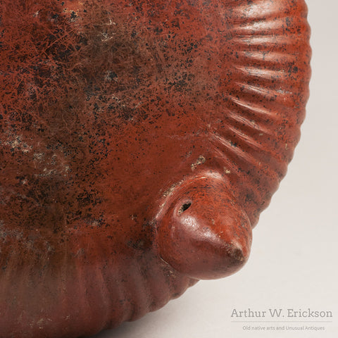 Colima Gadrooned Terracotta Jar - Arthur W. Erickson - 9