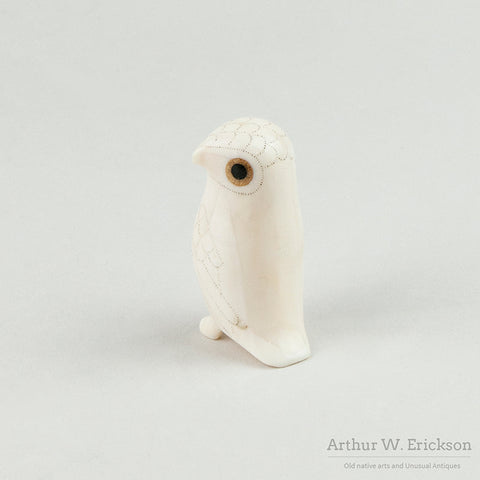 Don Ungott Ivory Owl