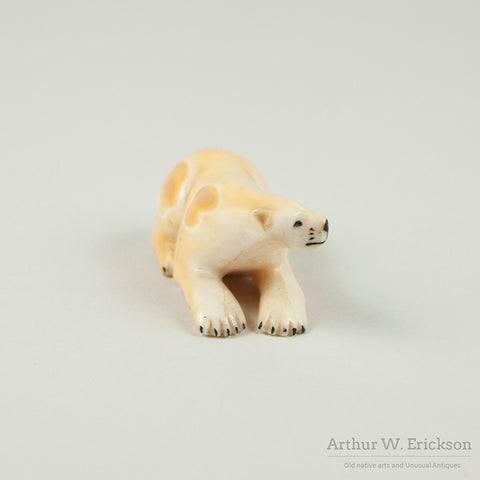 Eskimo Carved Walrus Ivory Resting Polar Bear