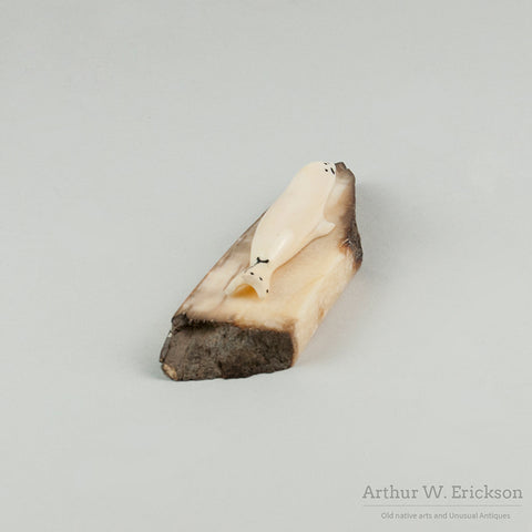 Eskimo Carved Walrus Ivory Seal