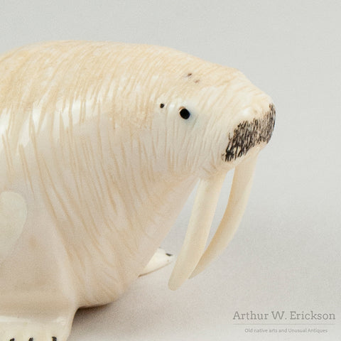 Husky Eskimo Carved Walrus by Lincoln Milligrock
