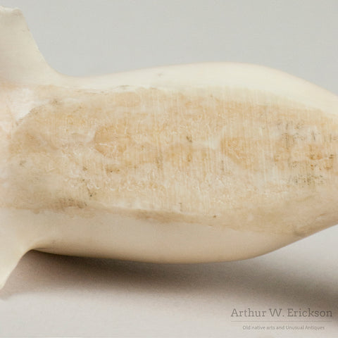 Large Eskimo Walrus Ivory Seal