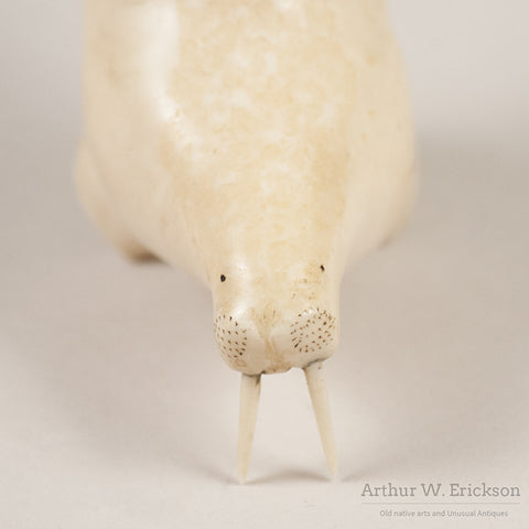 Eskimo Carved Walrus