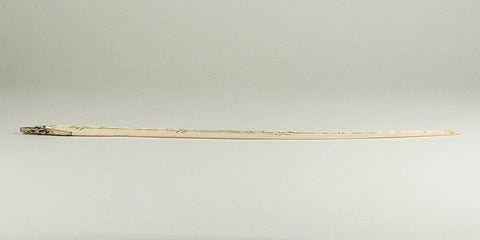 Eskimo Scrimshawed Long Ivory Bird Spear Point