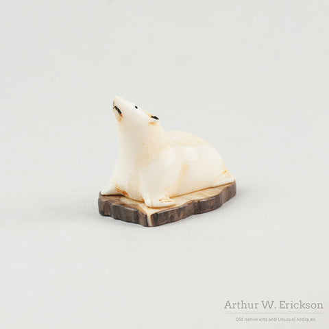 Pudgy Seal on Fossilized Walrus Ivory Base