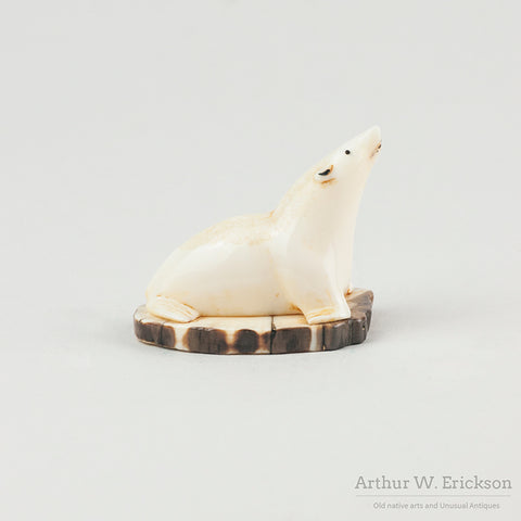 Pudgy Seal on Fossilized Walrus Ivory Base