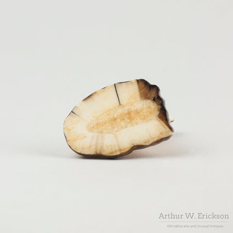 Pudgy Seal on Fossilized Walrus Ivory Base