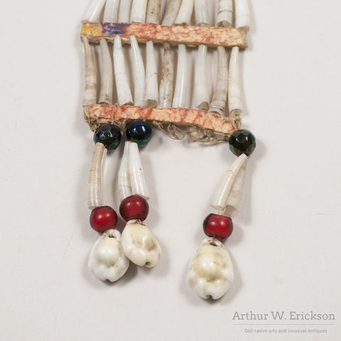 Antique Sioux Dentalium Shell Earrings - Arthur W. Erickson - 3