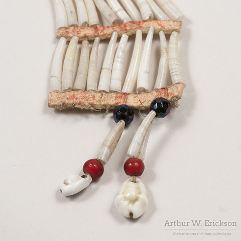 Antique Sioux Dentalium Shell Earrings - Arthur W. Erickson - 4