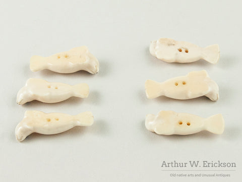 Six Carved Walrus Ivory Seal Buttons