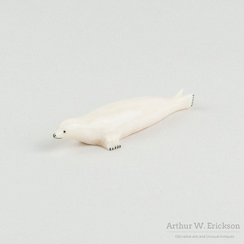 Slender Walrus Ivory Seal
