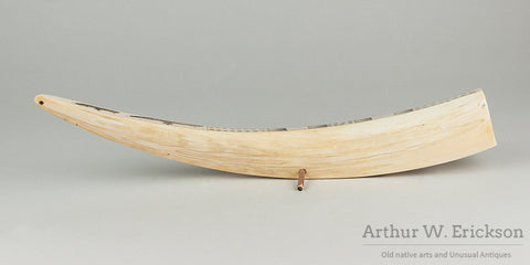 Walrus Ivory Scrimshawed Cribbage Board