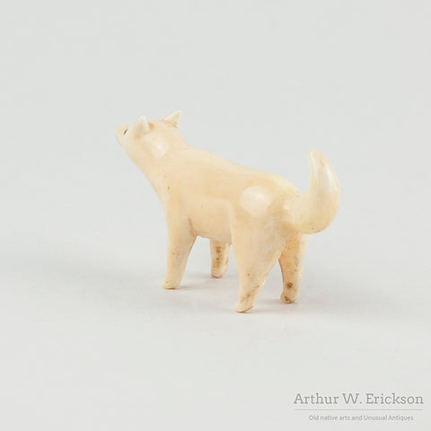 Walrus Ivory Carved Artic Fox