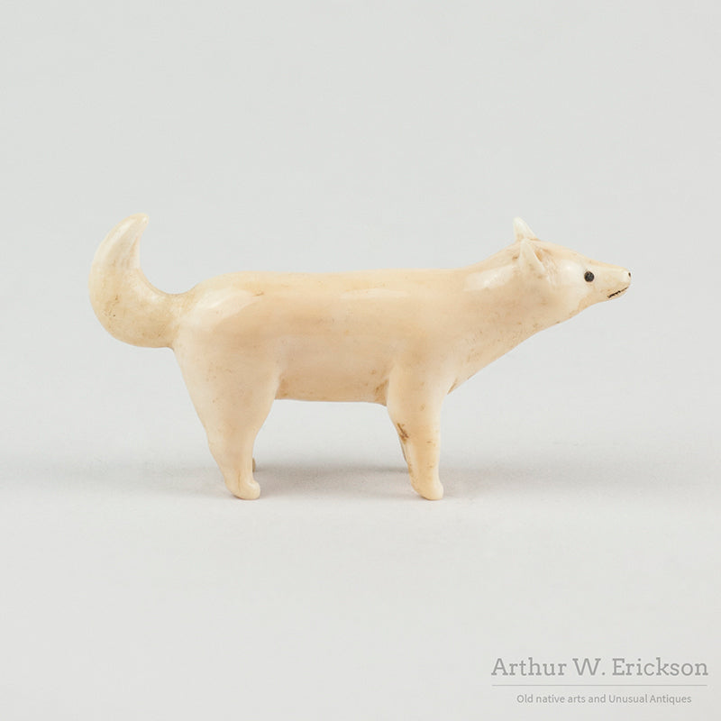 Walrus Ivory Carved Artic Fox